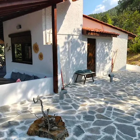 Prázdninový dům Pine-house